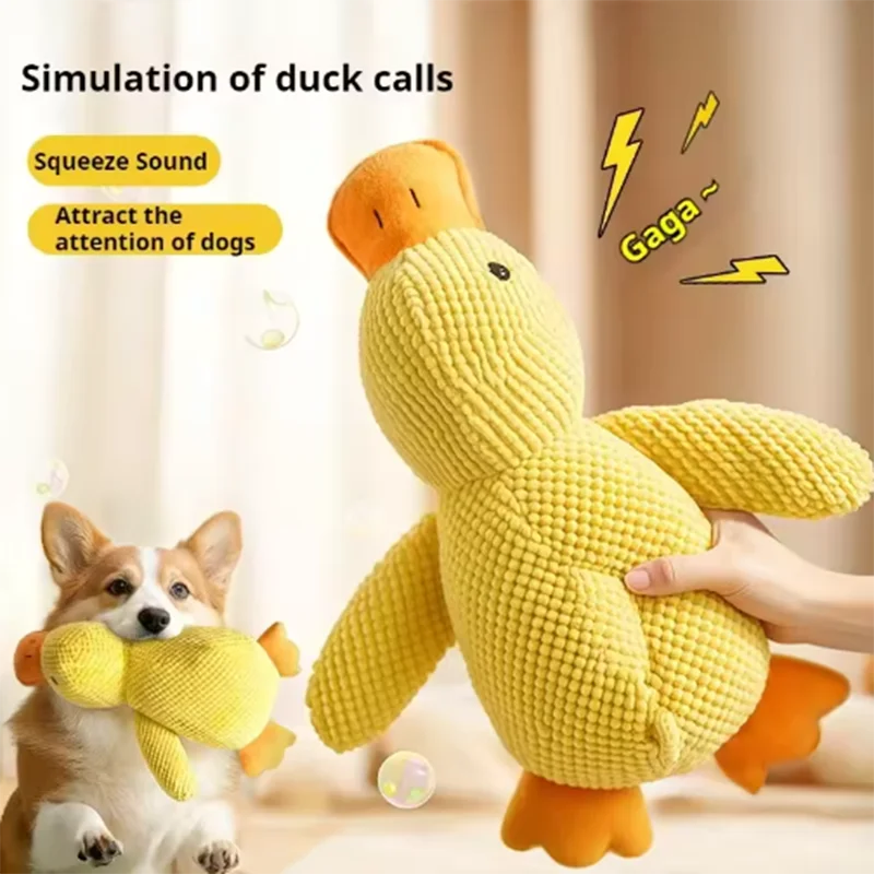 Hot dog sleeping with duck toys to relieve boredom