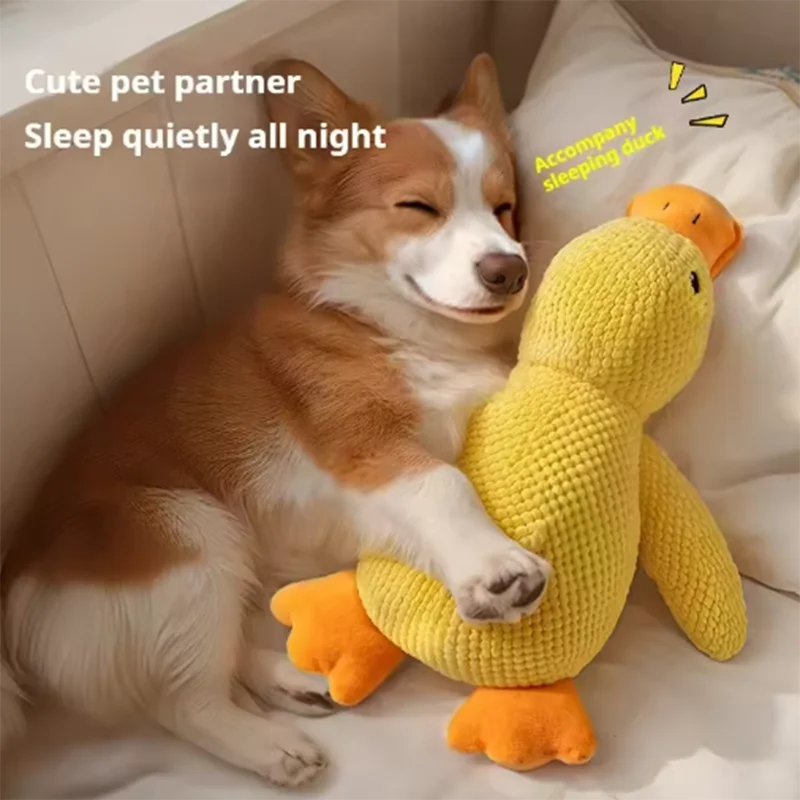 Hot dog sleeping with duck toys to relieve boredom