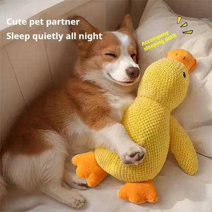 Hot dog sleeping with duck toys to relieve boredom