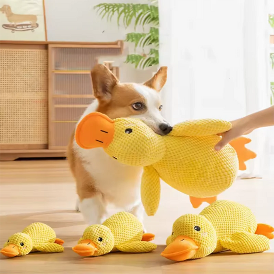 Hot dog sleeping with duck toys to relieve boredom