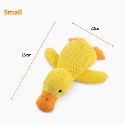 Hot dog sleeping with duck toys to relieve boredom