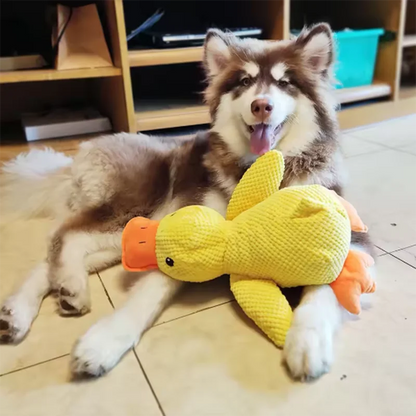 Hot dog sleeping with duck toys to relieve boredom