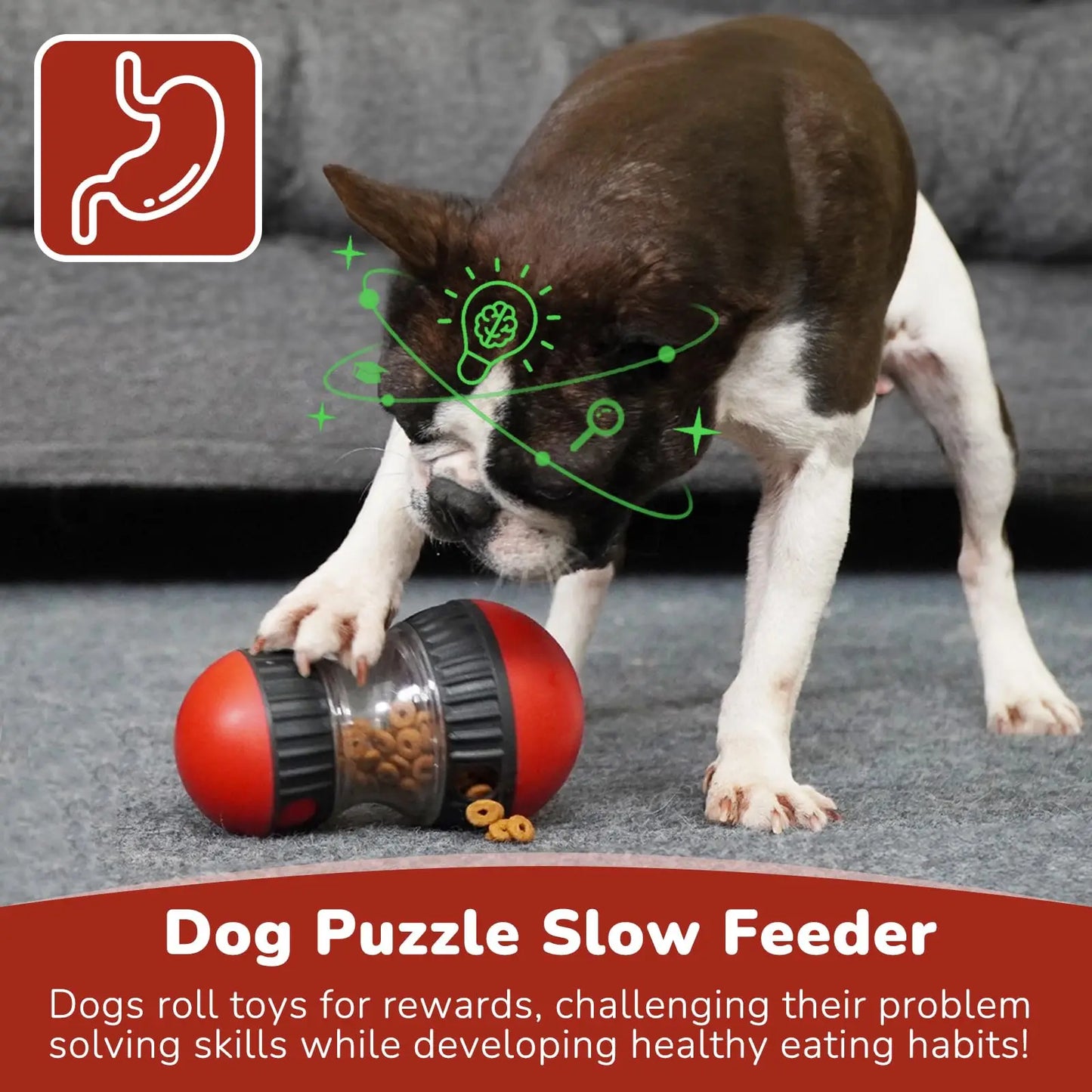 Dog Puzzle Toy Elliptical Track Rolling Increase