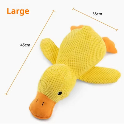 Hot dog sleeping with duck toys to relieve boredom